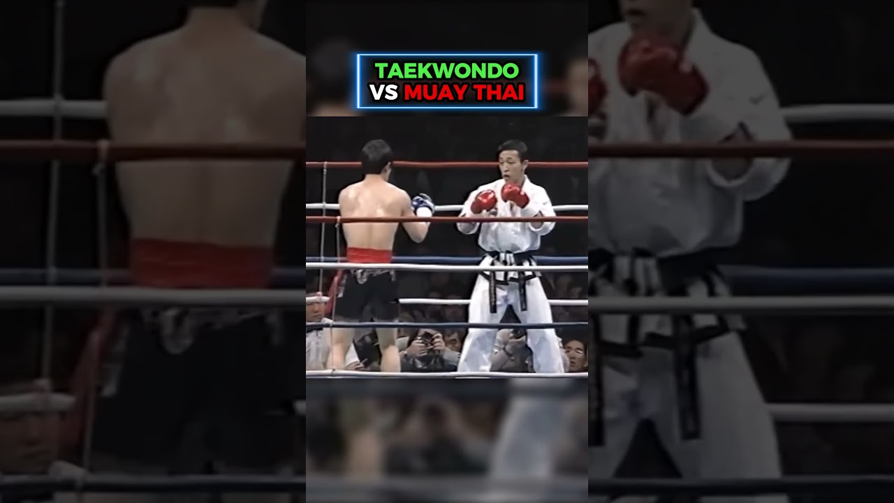 Intense Taekwondo vs Muay Thai Fight Compilation
