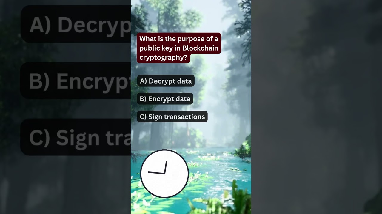 Understanding the Role of Public Keys in Blockchain Security 🔐