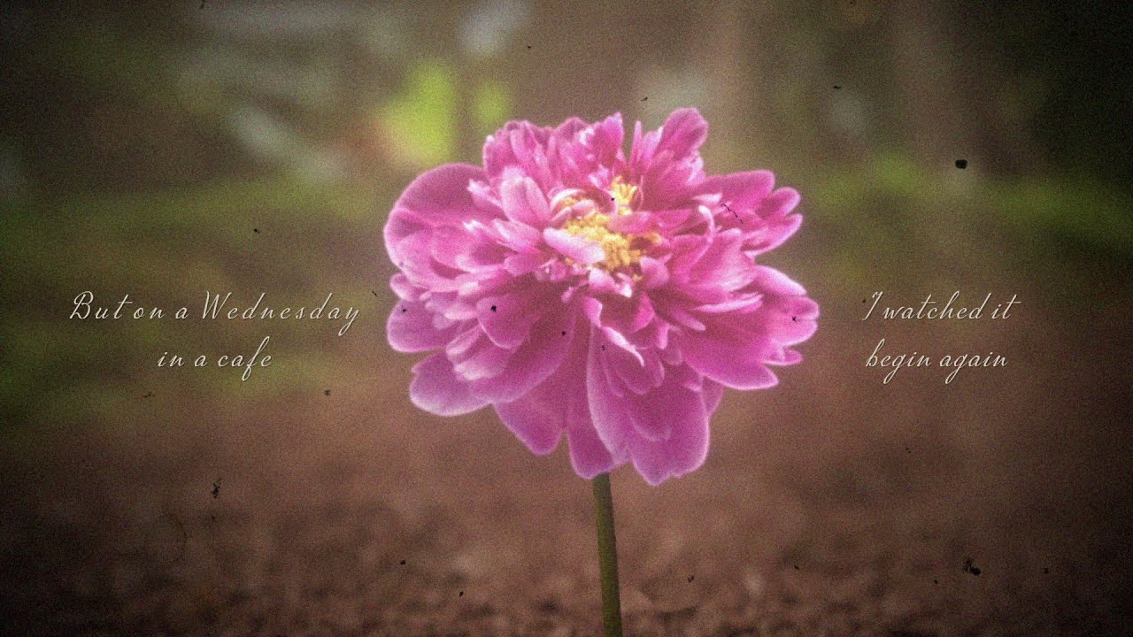 Taylor Swift - Begin Again (Taylor's Version) Lyric Video