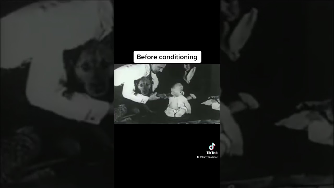 Failed Science Experiments 😳