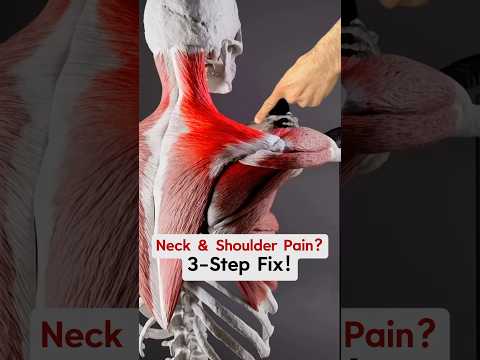 3 STEPS to Help Your Neck & Shoulders Get Some Relief! #neckpain #neckpainrelief #shoulderpain #tmj