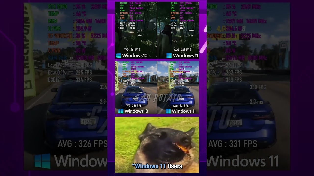 Windows 11 24H2 vs Windows 10 22H2 Benchmark 🔍