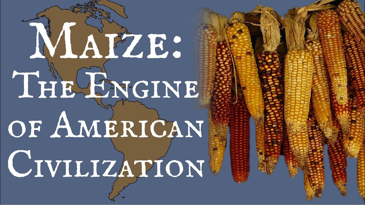 Maize: The Heart of American Civilization 🌽