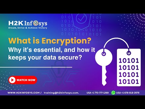 The Role of Encryption in Cyber Security