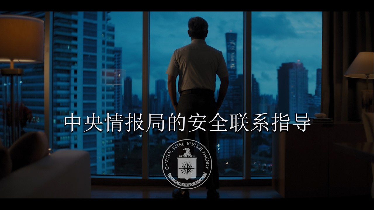 中央情报局的安全联系指导