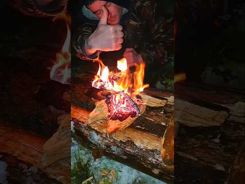 3🔥Как добыть огонь в сыром лесу в снежный шторм #выживание #выживаниевлесу #bushcraft #добычаогня