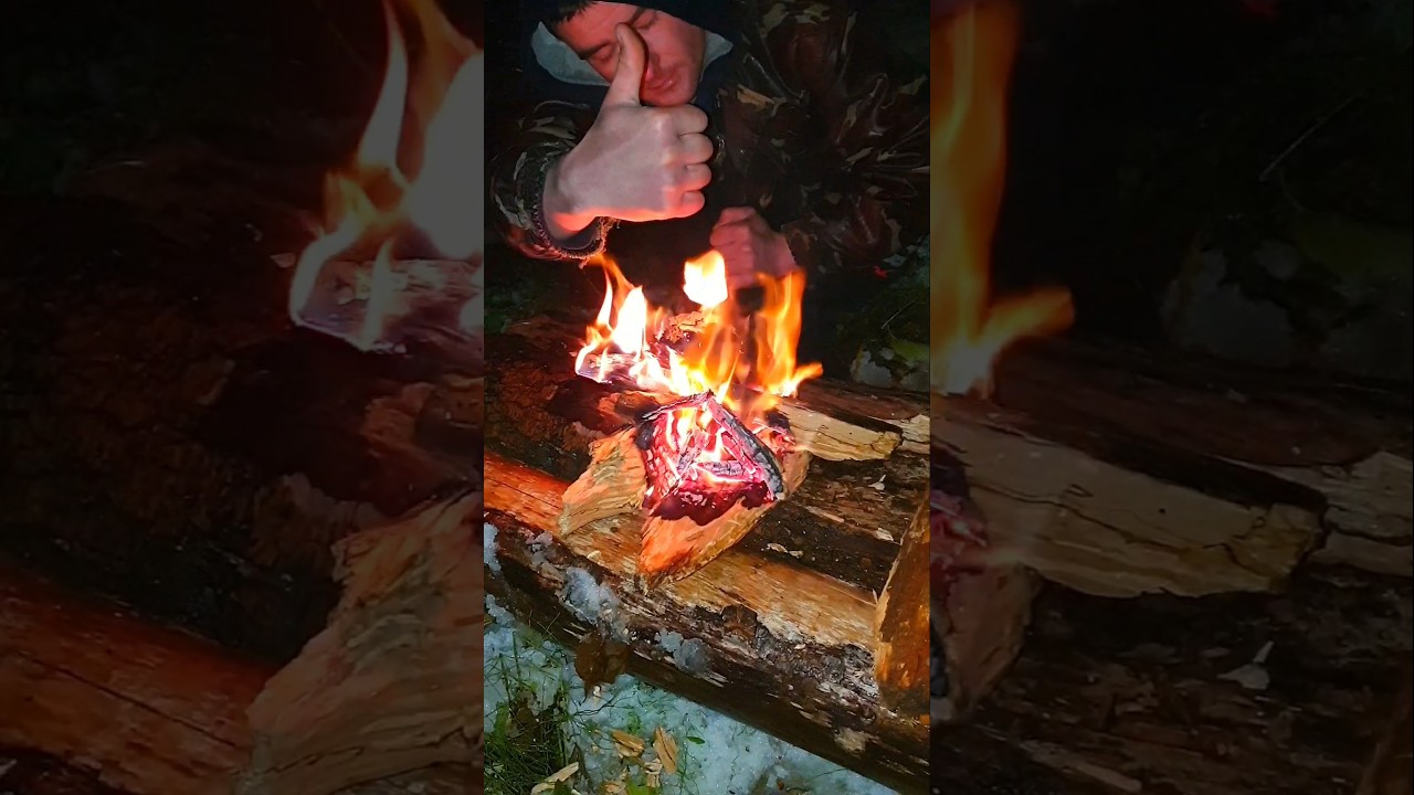 3π₯ ΠΠ°ΠΊ ΡΠ°Π·ΠΆΠ΅ΡΡ ΠΎΠ³ΠΎΠ½Ρ Π² ΡΡΡΠΎΠΌ Π»Π΅ΡΡ Π²ΠΎ Π²ΡΠ΅ΠΌΡ ΡΠ½Π΅ΠΆΠ½ΠΎΠ³ΠΎ ΡΡΠΎΡΠΌΠ° #Π²ΡΠΆΠΈΠ²Π°Π½ΠΈΠ΅ #Π±ΡΡΠΊΡΠ°ΡΡ