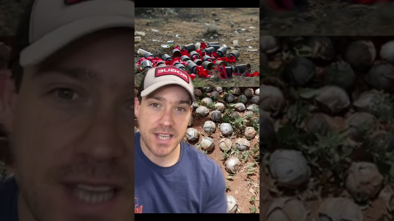 Cluster Munitions: War Crime or Weapon? โ๏ธ