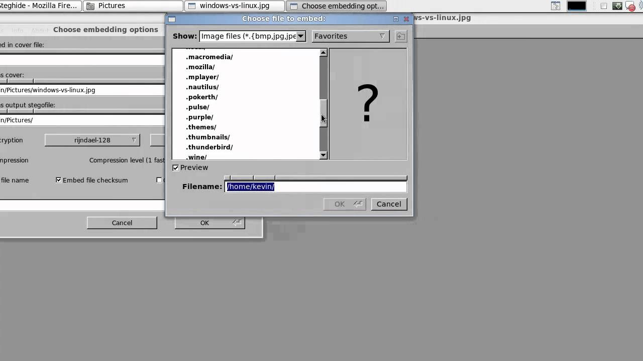 Discover Steganography in Linux: Hidden Data Secrets Revealed π