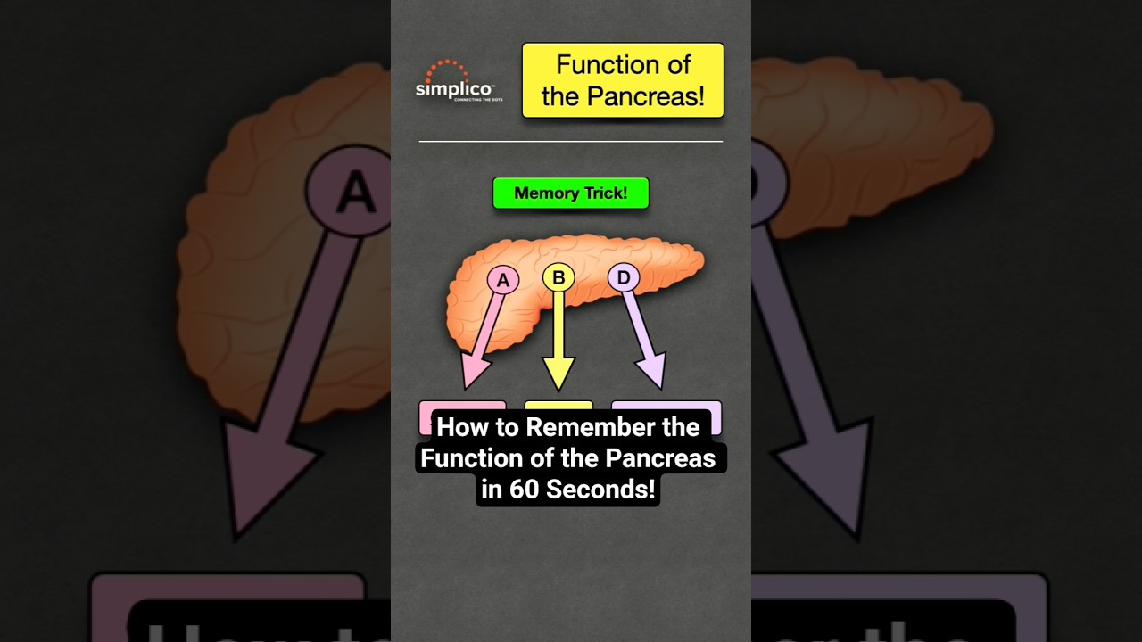 Pancreas Functions & Hormones for Nursing 📚