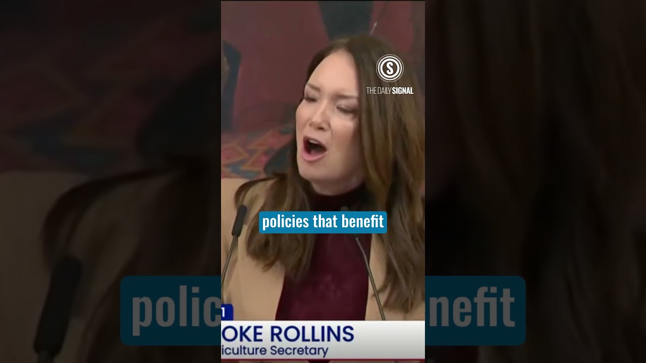 Democrats Prioritize Socialists Over SNAP Amid Ongoing Shutdown 🚨