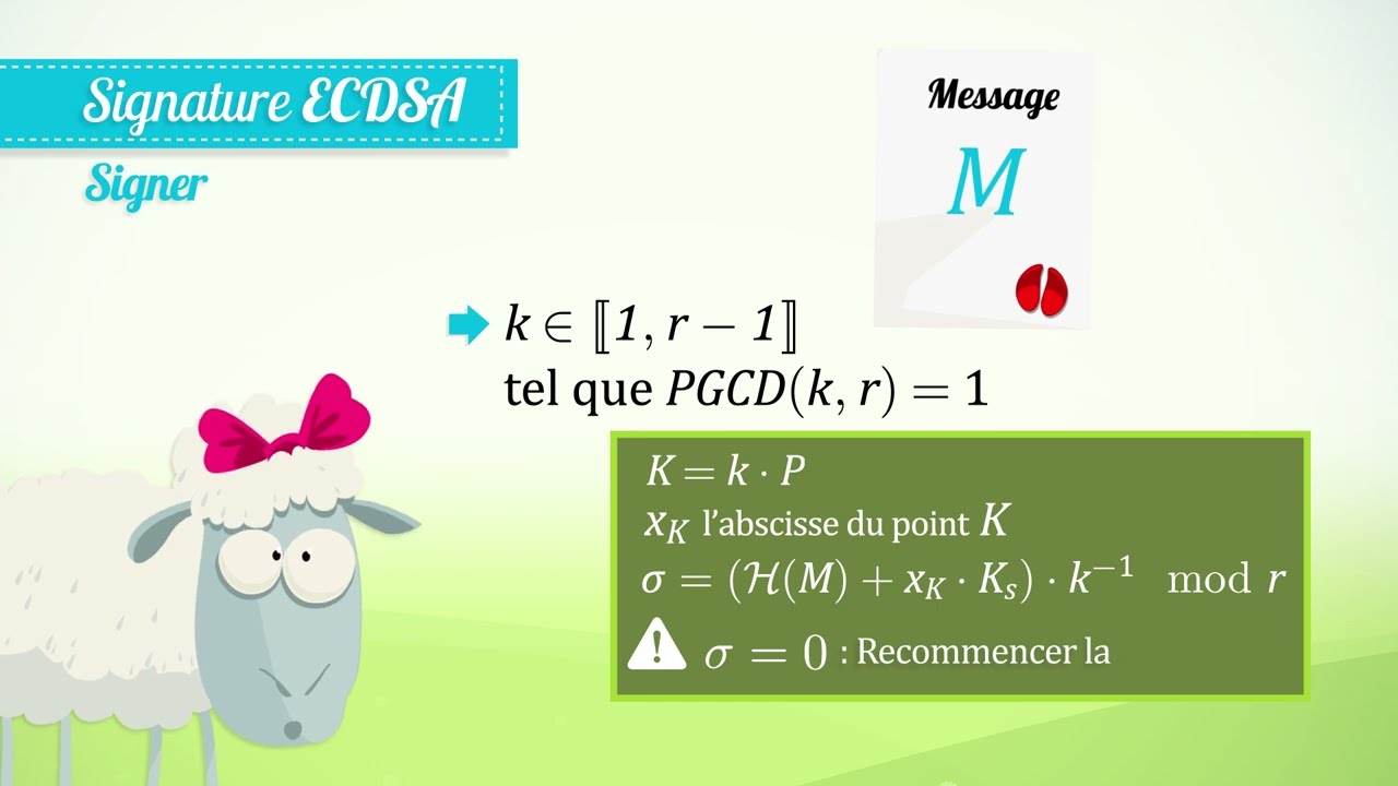 ECDSA : Protocole de signature en blockchain 🔑