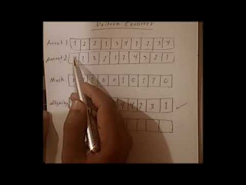 Machine Learning : Genetic algorithm crossover شرح عربي