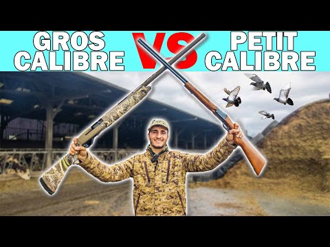 Gros Fusil VS Petit Fusil ! Chasse au Pigeon et Étourneau à la Ferme !