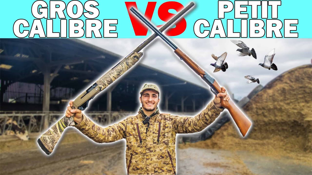 Gros Fusil vs Petit Fusil : Quelle Option Choisir pour la Chasse au Pigeon et Étourneau ? 🦅