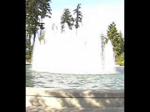 Fountain (Video Texture Synthesis)