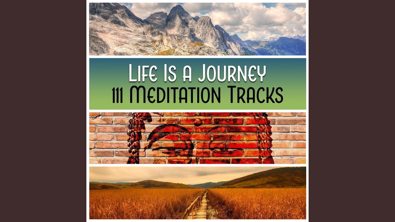 Perfect Mind - Meditation Music 🎶