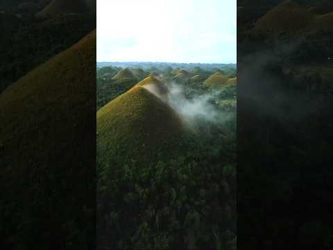 The Chocolate Hills Look Magical at Sunrise #bohol #chocolatehills