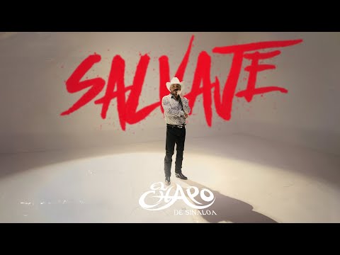 El Chapo De Sinaloa - SALVAJE  (Video Oficial)