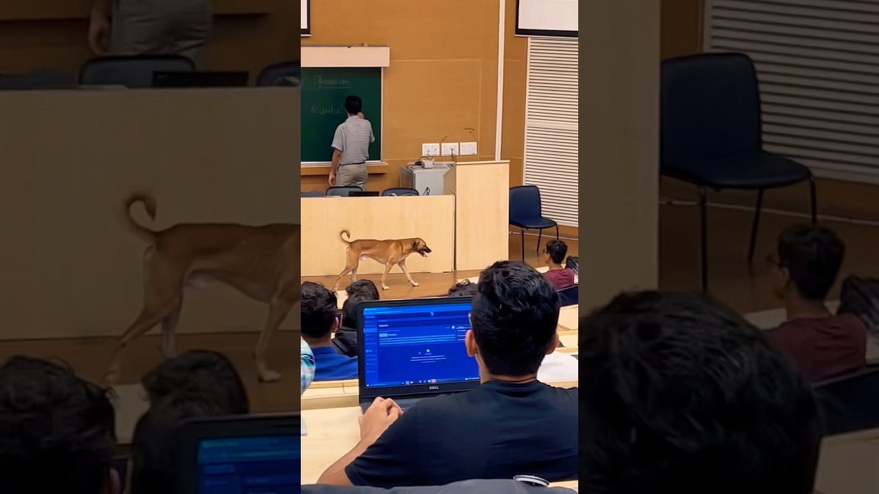 Unexpected Visitor: Dog Steals the Show in IIT Bombay Classroom ๐ถ