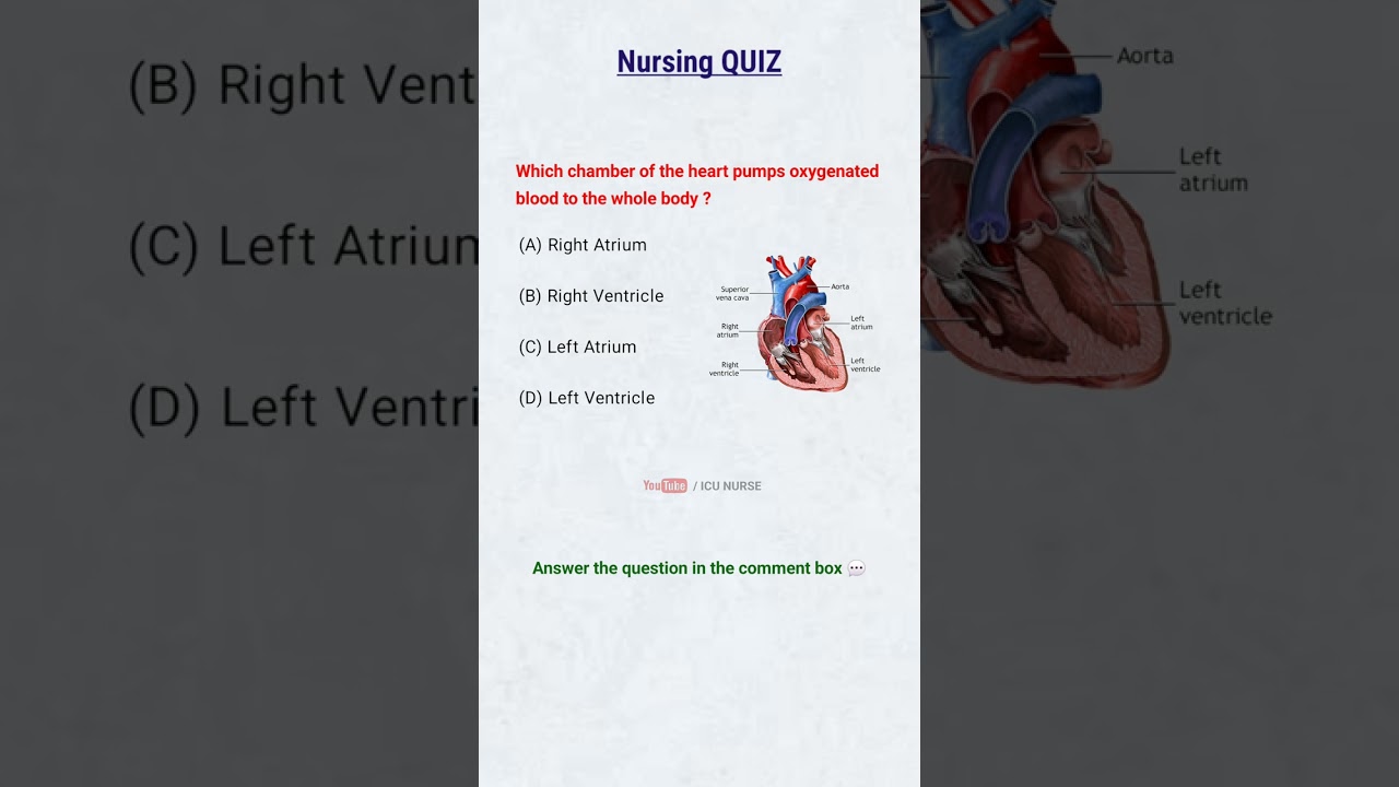 Nursing previous year question papers / Nursing quiz / STAFF NURSE EXAM 2025