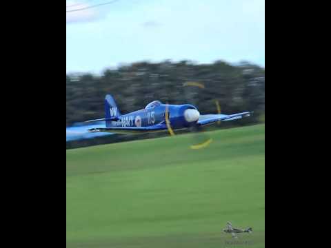 Hawker SeaFury lowpass & brutal sound #vintageaircraft #aircraft #fighter #avgeek #warbirds
