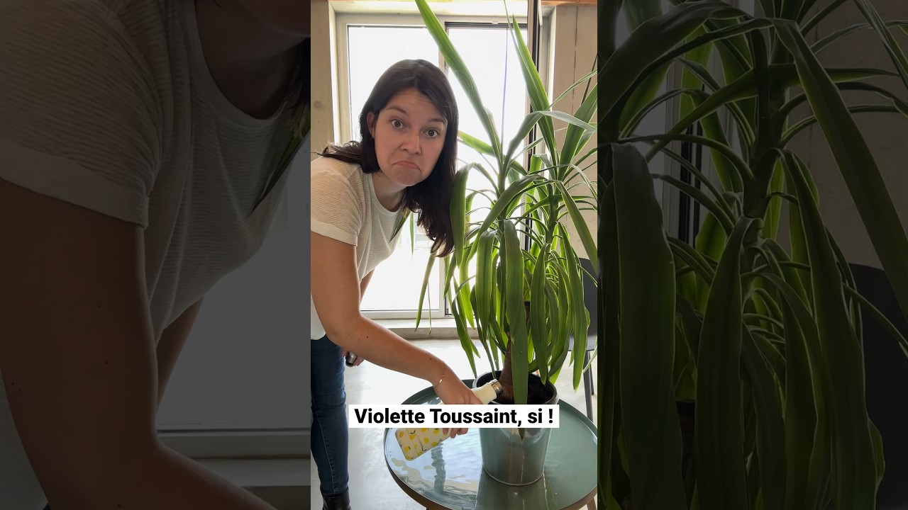 Changer l’eau des fleurs : une histoire humaine au Théâtre 🎭