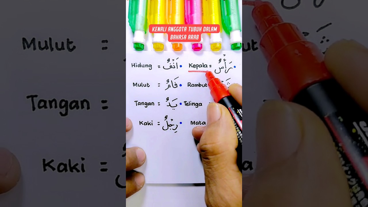 Anggota Tubuh dalam Bahasa Arab 🧠