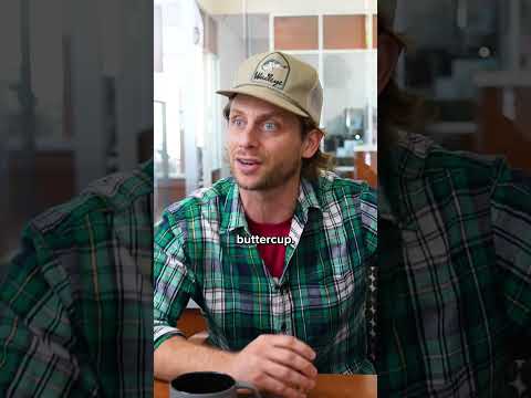 Midwest Entrepreneur #shorts