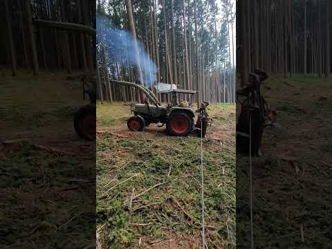 Fendt Farmer 3s mit Seilwinde