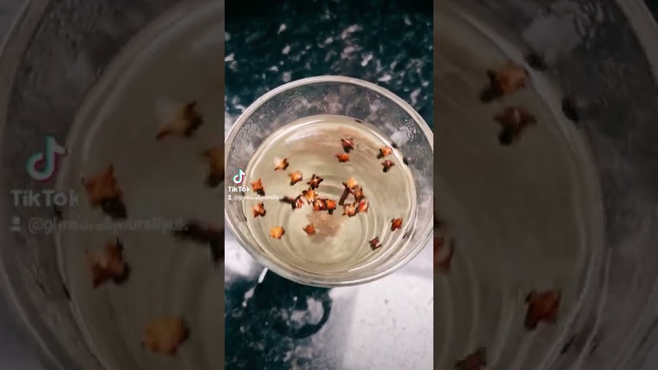 Best Drinks to Support Ovulation 🥤