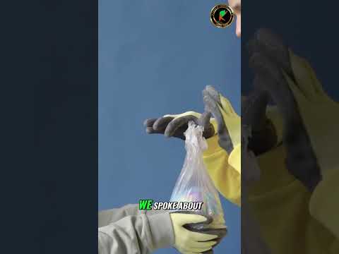 Quantum Apocalypse is Coming! Are YOU Ready?! (Cryptography Deep Dive)