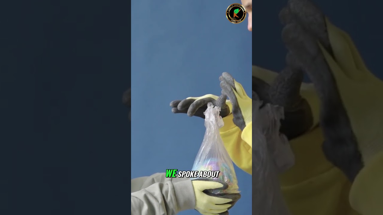 Quantum Apocalypse Is Near! Prepare Now with Our Cryptography Deep Dive 🔐