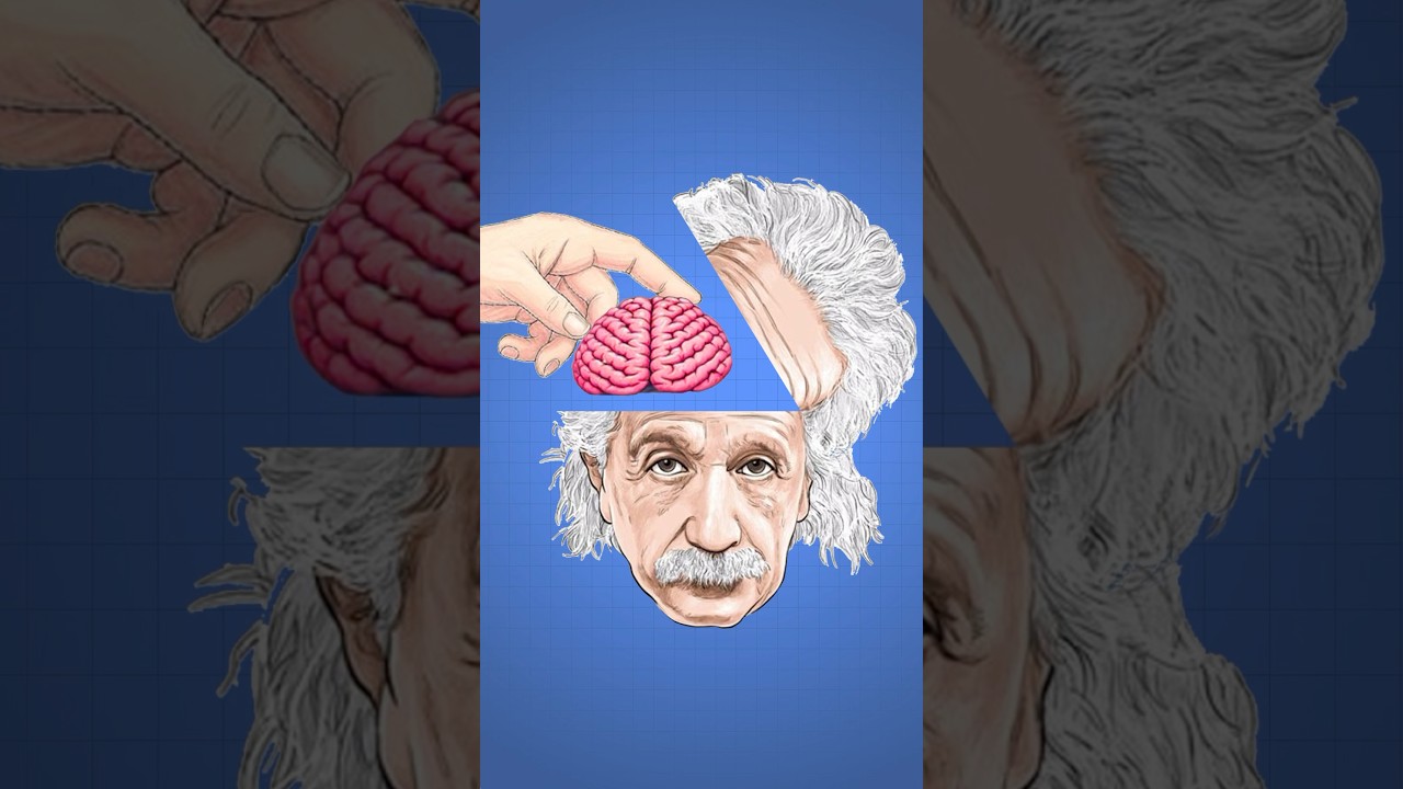 o cérebro do einstein foi roubado