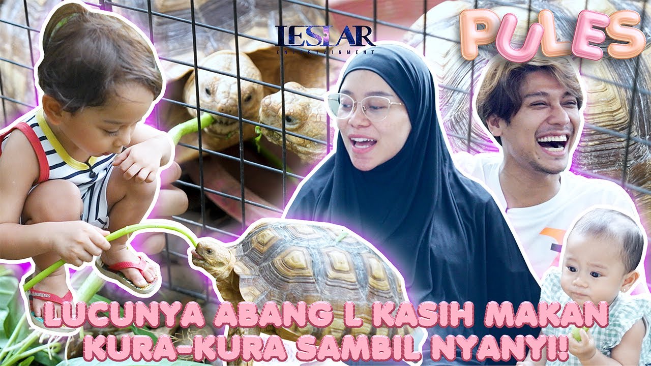 Abang L Taat Kasih Makan Kura-Kura Kesayangan 🐢