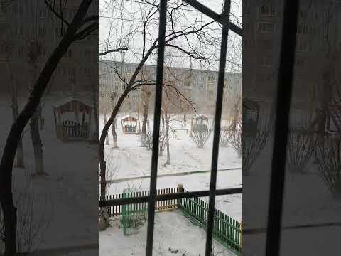 Погода в Забайкальском крае город Чита