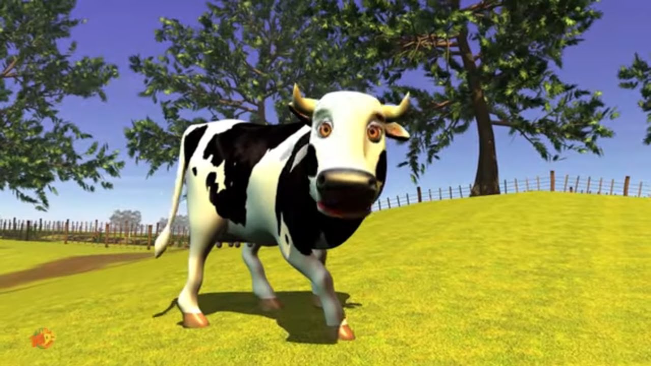 Vaca Maru 🐄 na Fazenda do Zenon 2