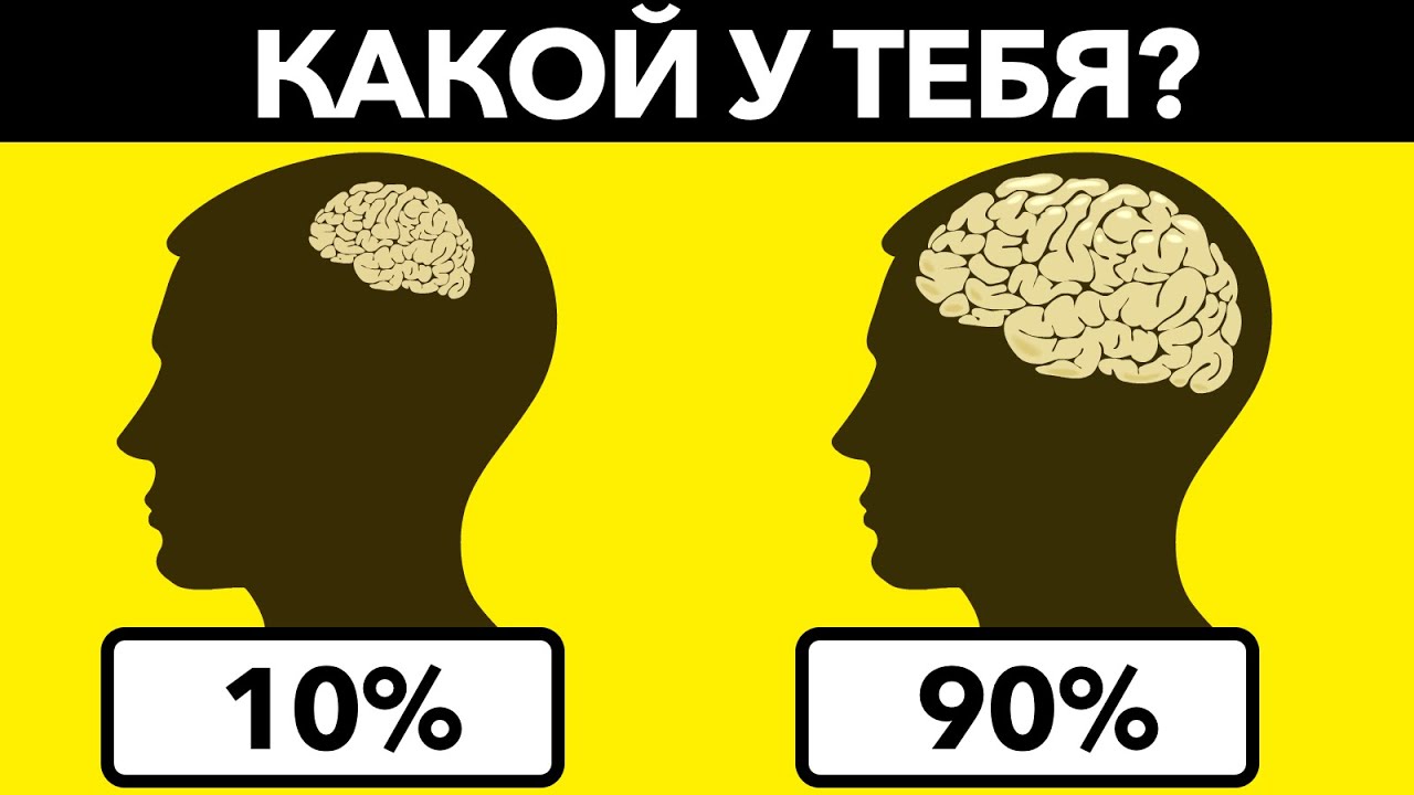 Тест на умение: проверь свою смекалку 🧠