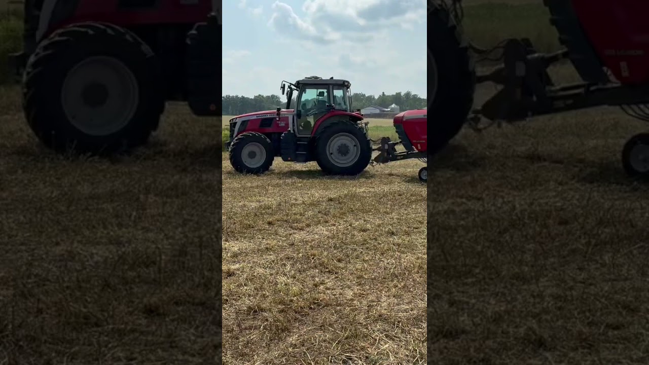 Massey Ferguson SB.1436DB Clearing Thick Windrows