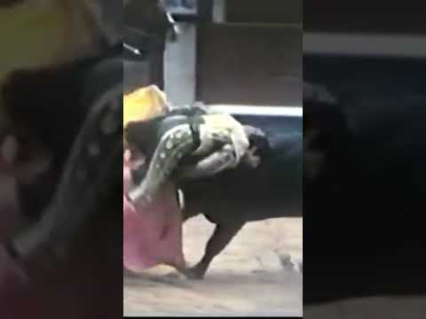 Peligrosa cogida de toro a Curro Romero 1997 #sanlucardebarrameda #toros #curroromero