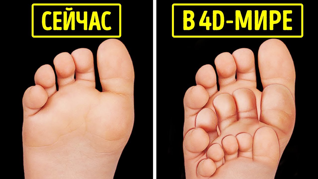 Изменения в 4D: Что такое четвертое измерение? 🤔