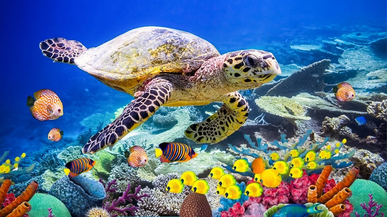 Healing Relaxing Music for Stress & Anxiety 🎶