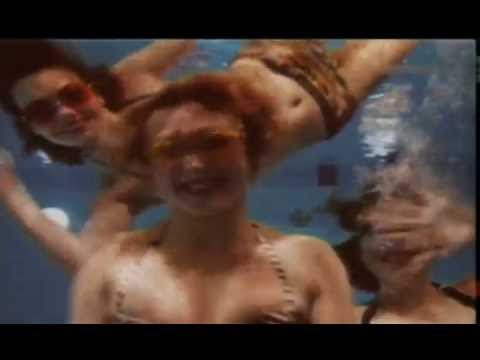 Dire Straits - Twisting by the Pool (1983) ๐ถ