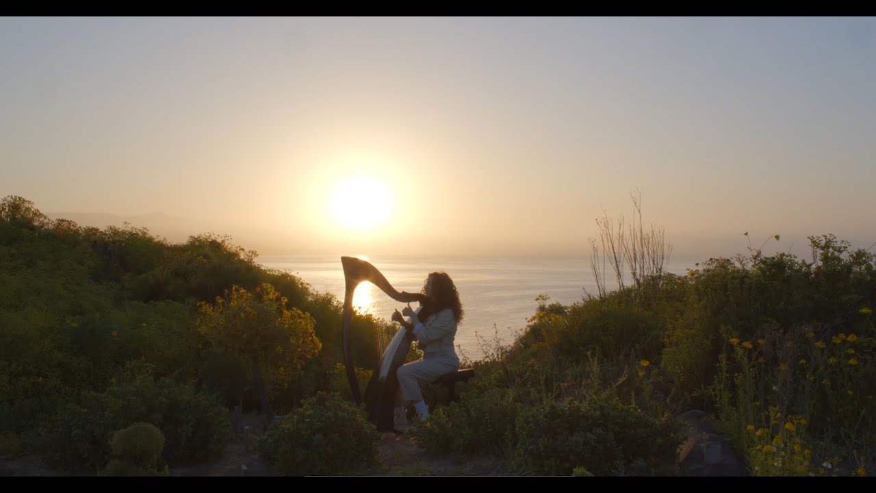 Holy Forever - Megan Tibbits (Harp Cover) 🎶