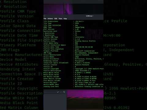 How to install exiftool on kali linux #kalilinux #metadata #tools #linux #cybersecurity #shorts