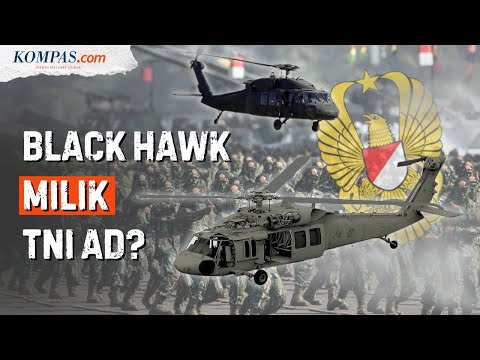 7 Helikopter TNI AD, Didominasi Buatan Rusia dan AS