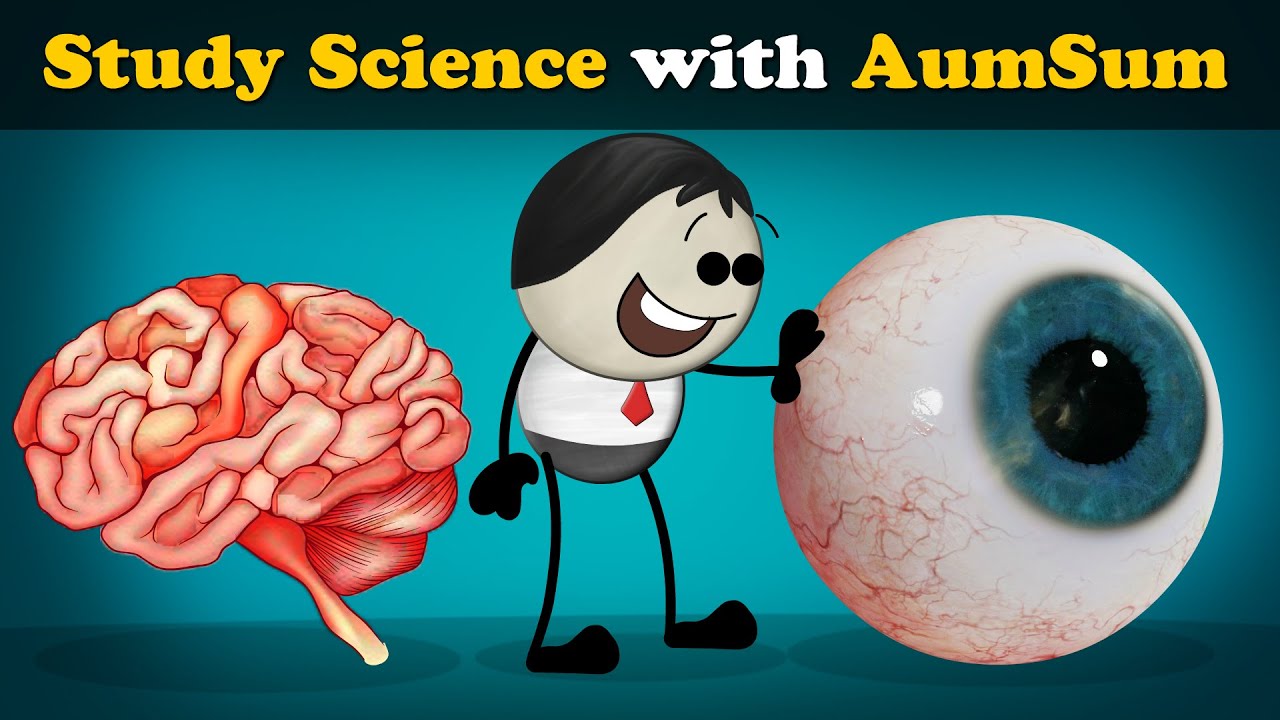 Learn Science with AumSum for Kids 🌟