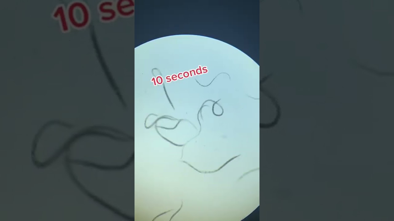 Hand Sanitizer vs. Microbes 🧴🦠