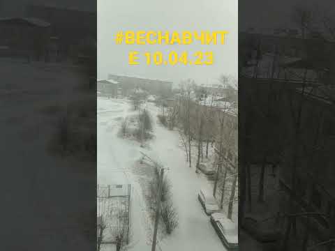 ЧИТА.10.04.23.ВЕСНА В РАЗГАРЕ.