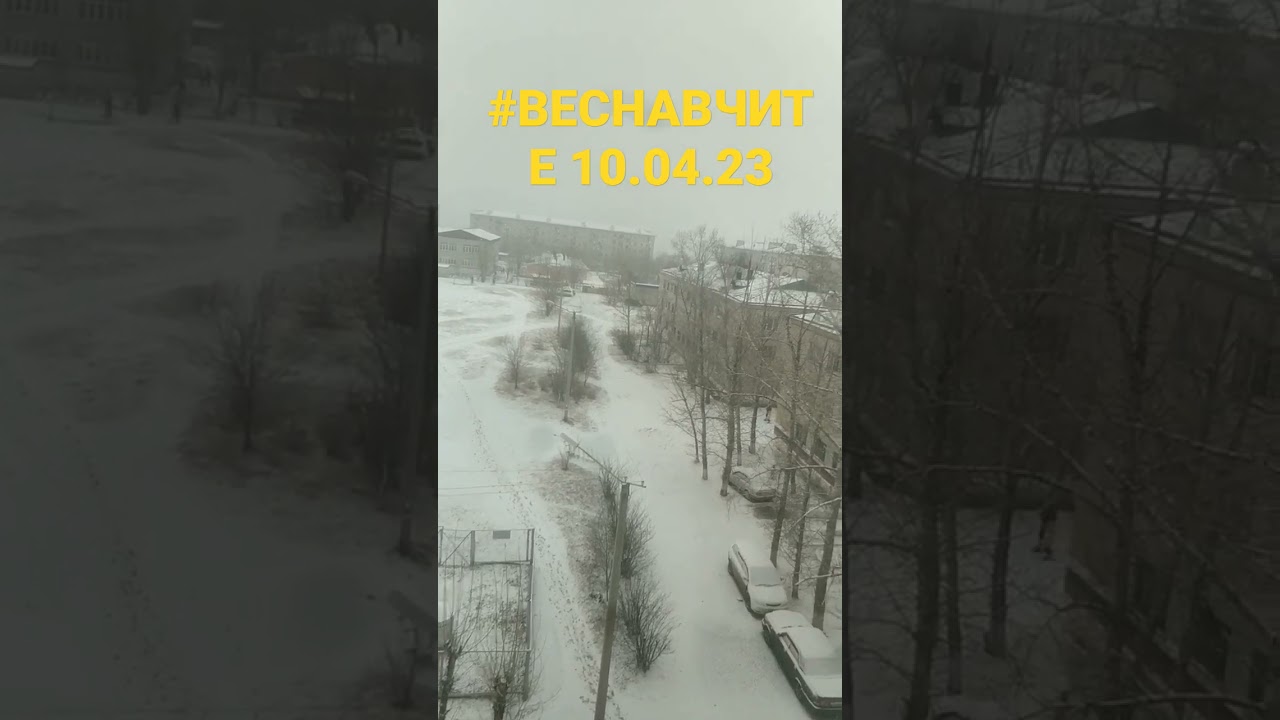 Чита в разгар весны: яркие события и свежие новости 🌸